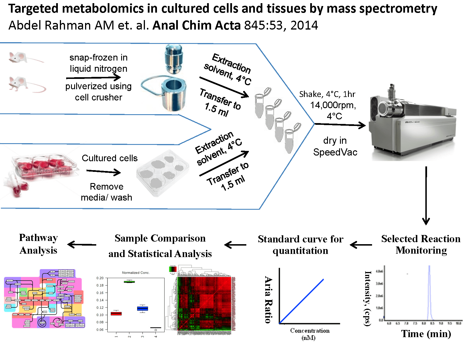 Mass Spectrometry Metabolites Dennis Lab Lunenfeld